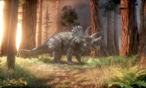 Triceratops