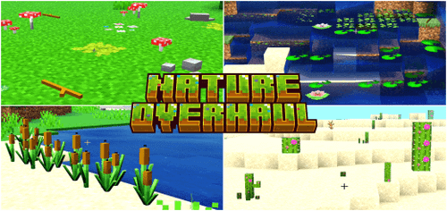 Nature OverHaul