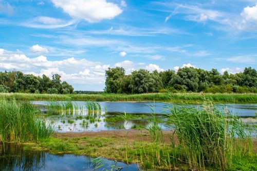 De Wieden National Park