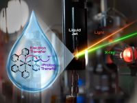 Scientists capture first molecular-level images of water reorganization during a reaction crucial for life - Phys.org