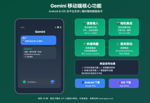 gemini-3-experience-guide-official-api-2025 图示