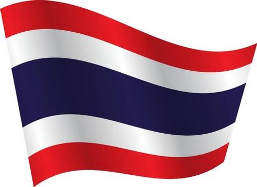 Flag of the country Thailand on a white background vector