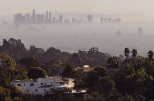 米斯蒂到洛杉矶后，问题就开始了。