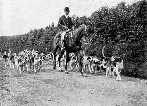 Fox Hunting with the Devon and Somerset Staghounds in Exmoor, Somerset, England - 19th Century Fox hunting with the Devon and Somerset Staghounds in Exmoor, Somerset, England. Vintage etching circa late 19th century. fox hunting stock illustrations
