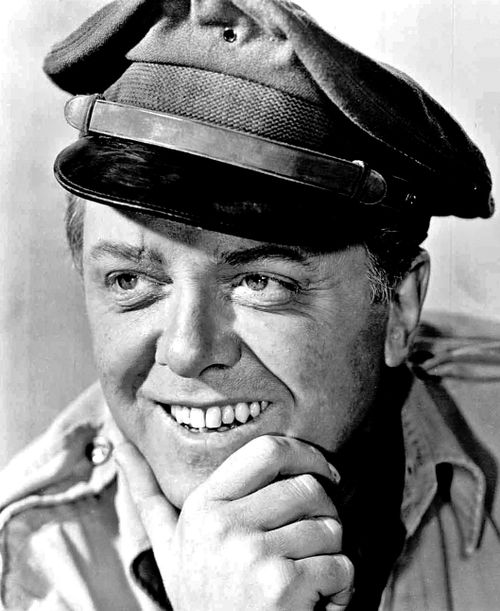 richard attenborough 1965