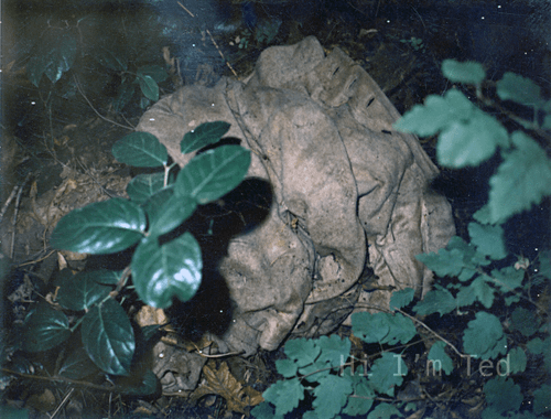 Taylor Mountain Ted Bundy crime scene Washington 1975