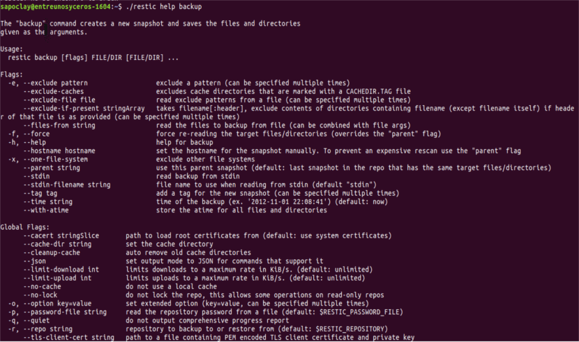 Copias cifradas con Restic en un remoto de Rclone
