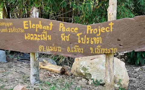 Elephant Peace Project
