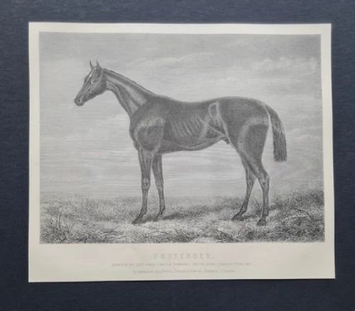 Antique 1882 Horse Racing Print - Pretender - Winner 2000 Guineas & Derby 1869 - Image 1 of 2