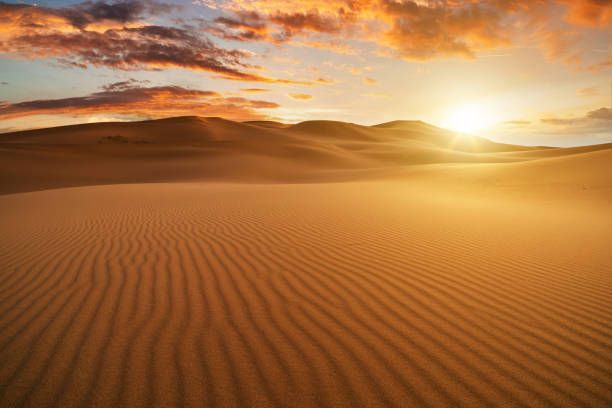  Sand dunes at sunset