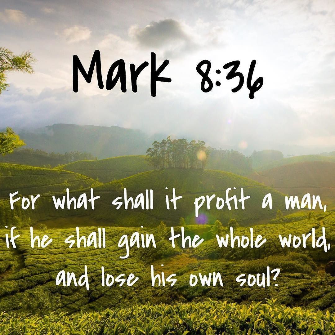 Mark 8:36 by bible.365 | Things I Like | Pinterest | Bible, Verses and ...