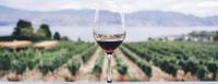 Azienda Agricola Cesconi - Winery in Trentino - Alto Adige | ...
