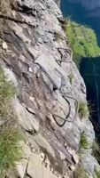Brand new level of "aw hell no!!" - Album on Imgur