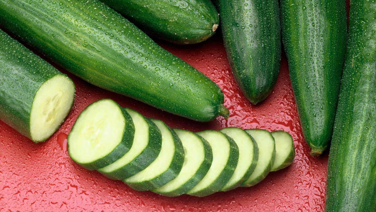 13 Interesting And Useful Facts About Cucumbers