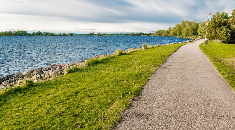 Grassy path by a lake under soft sunlight