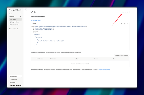 How to Get Your Gemini API Key 2