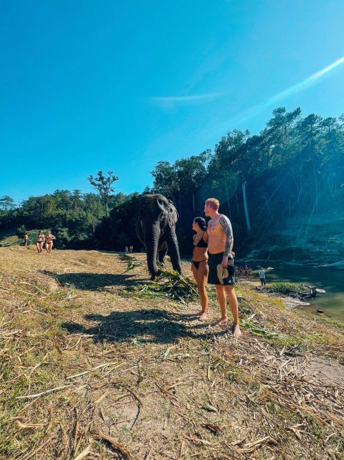 Into the Wild Elephant Camp