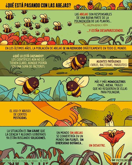La Danza de las Abejas: El Algoritmo Natural para Decisiones Colectivas