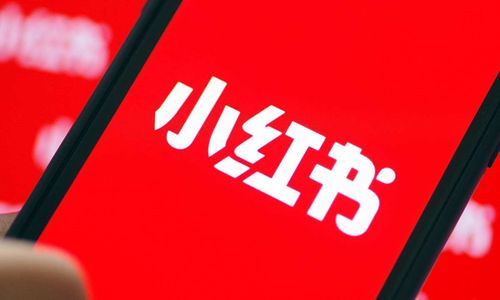 微服务项目: 手把手从 0 手撸《仿小红书社区》