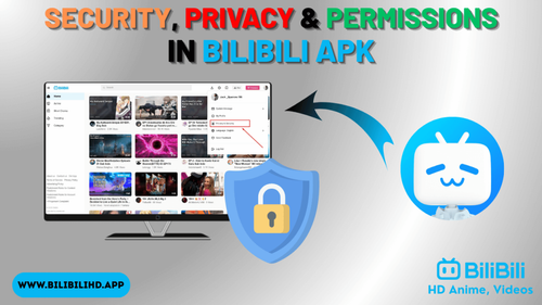 Security, Privacy & Permissions in Bilibili APK