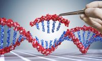 Scientists identify genetic markers linked to Big Five personality traits - NewsNation