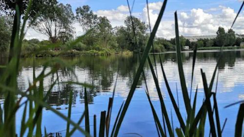 South Cerney Angling Club