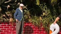 The Saturating Lens: How Artistic Vision Defines Urban Identity