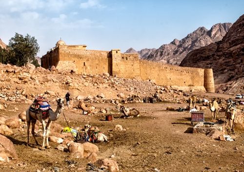 Camel Parking - Saint Catherine's Monastery - Mount Sinai - Egypt