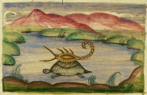 tortoise and scorpion
