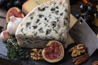 Aprende a preparar deliciosos quesos veganos con un curso online