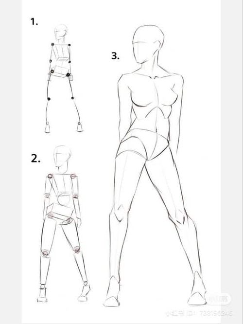 Step-by-step guide to drawing a human figure: 1. Skeleton outline, 2. Basic shapes, 3. Detailed form.