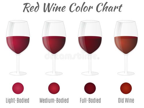 Red wine color chart. Hand drawn wine glasses. Vector concept on white background. Red wine color chart vectors