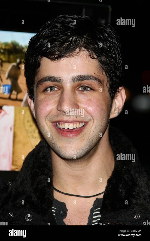 JOSH PECK DARFUR NOW LOS ANGELES PREMIERE LOS ANGELES CALIFORNIA USA 30 October 2007 - Stock Image