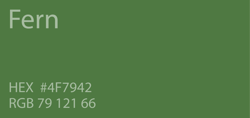 fern-green-color-paint-code-swatch-chart-rgb-html-hex