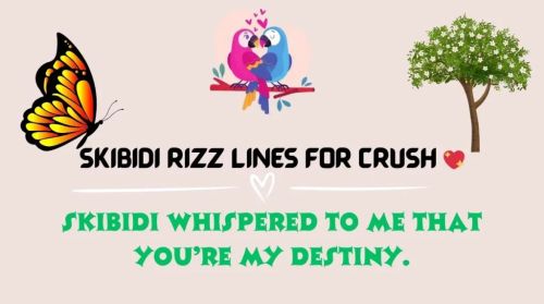Skibidi Rizz Lines for Crush