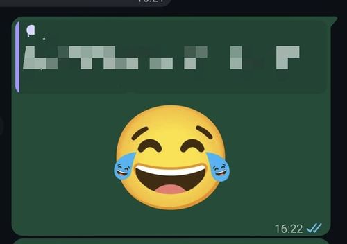 r/whatsapp - What the hell is this giant emoji and how did I send that?