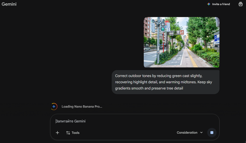 Outdoor Photo Tone Correction in Gemini | Skylum Blog