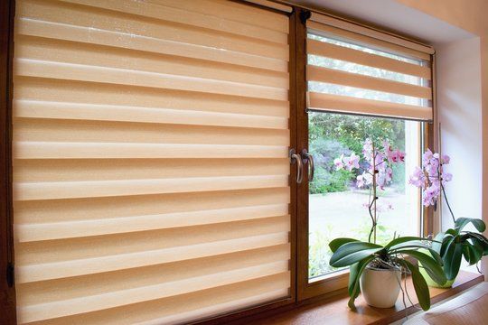 Zebra Blinds
