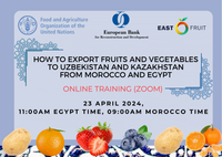 How to export fruits and vegetables to Uzbekistan and Kazakhstan from Morocco and Egypt • EastFruit