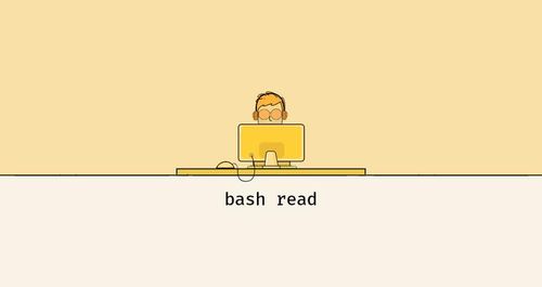 Linux Bash read