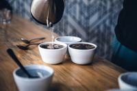 Borealis Coffee Company - Riverside, RI