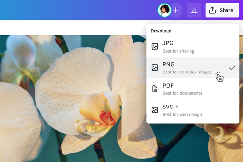 免费在线图片格式转换器