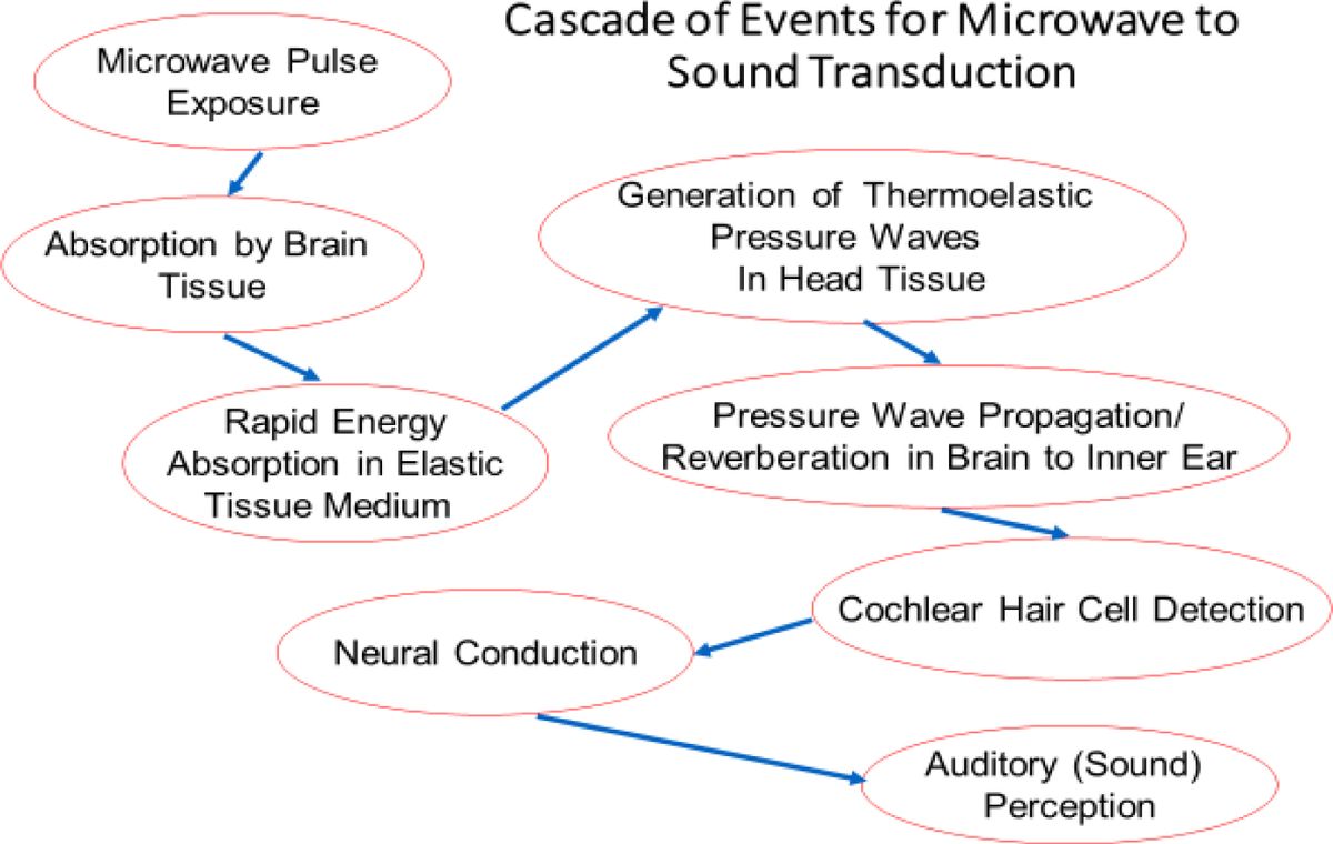 The Microwave Auditory Effect, James C. Lin, IEEE Journal of E... - samim