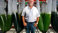 The Architect of the Code: Why the Passing of J. Craig Venter Signals the End of Genomic Competition