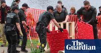 Elephant seal makes ‘epic’ trek back after Canadian officials relocate him | Canada | The Guardian