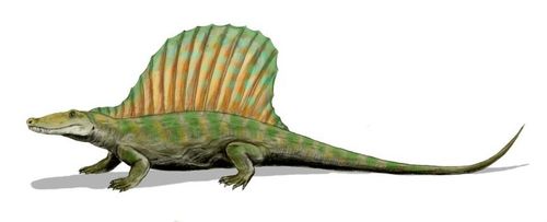 Edaphosaurus