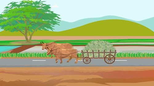 Village natural scene and a cow cart is running on the road. vector