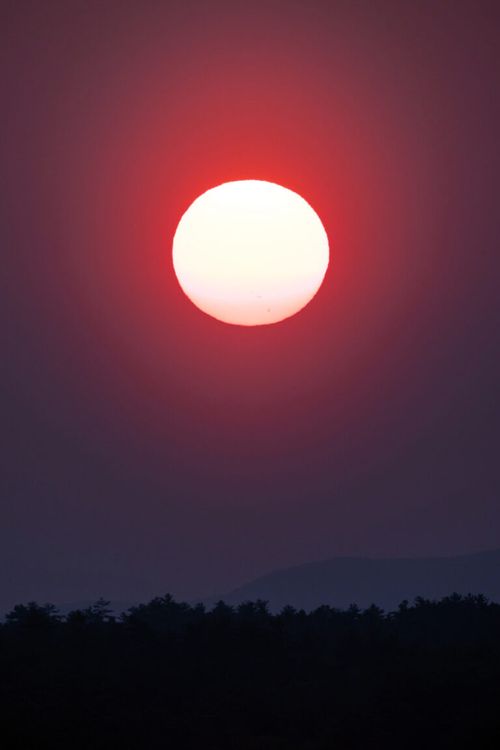 Sunset Mobile Wallpaper