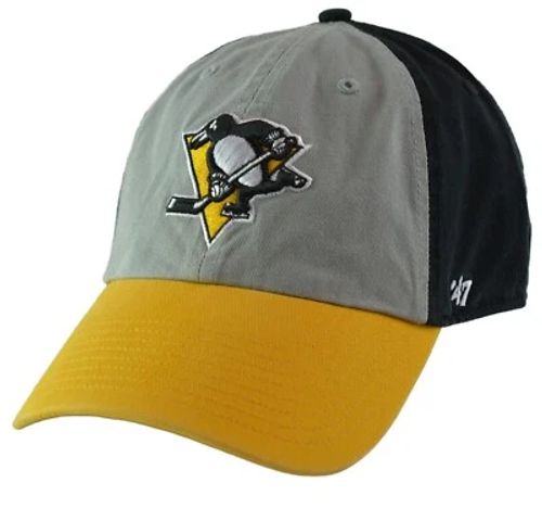 Pittsburgh Penguins Hat