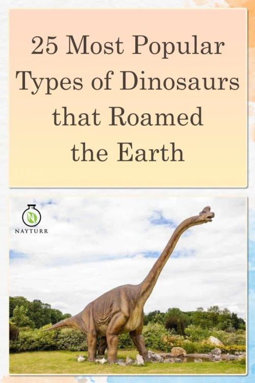 A long necked dinosaur with text above that reads 25 of the most popular types of dinosaurs that roamed the earth.